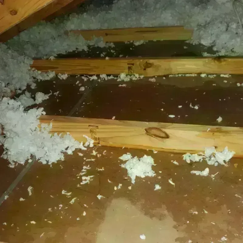 Attic Water Damage in Lineville, AL