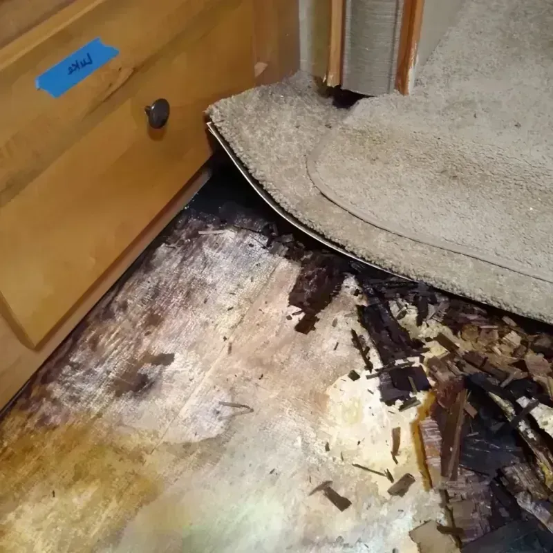 Wood Floor Water Damage in Lineville, AL